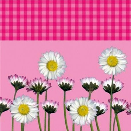 Servetele de masa roz cu margarete pentru petreceri - 33 cm, Amscan RM551864, Set 20 buc