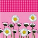 Servetele de masa roz cu margarete pentru petreceri - 33 cm, Amscan RM551864, Set 20 buc