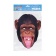 Masca Party Cimpanzeu - 27 X 21 cm, Radar CHIMP01